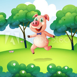 A pig at the hilltop