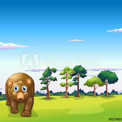A big brown bear walking