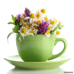 Beautiful wild flowers and mint in cup, isolated on white