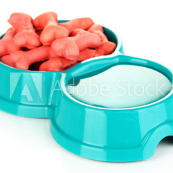 Dry dog treats in bowl isolated on white