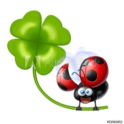 coccinella quadrifoglio