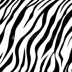 skin zebra