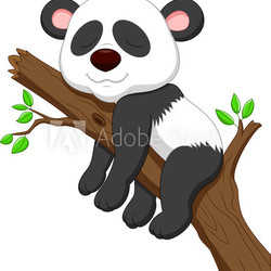 Sleeping panda
