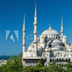 View of the Blue Mosque in Istanbul, Turkey