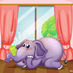 A worried face of an elephant inside the room