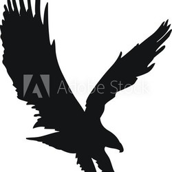 pictogramme aigle