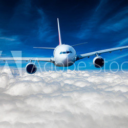 Passenger Airliner in the sky