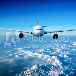 Passenger Airliner in the sky