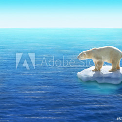 Ours Polaire / Fonte des glaces