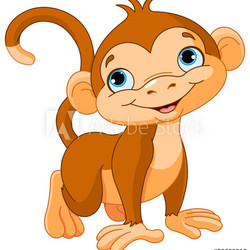 Baby monkey