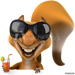 Fun squirrel