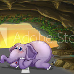 A terrified elephant in the middle of the road