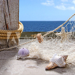 Fischernetz mit Meeresschätzen