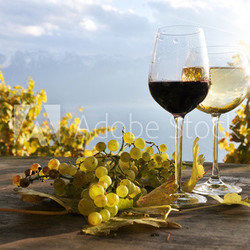 Pair of wineglasses. Lavaux region, Switzerland