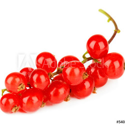 Redcurrants isolated on white