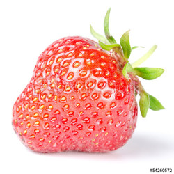 Erdbeere isoliert vor weiß