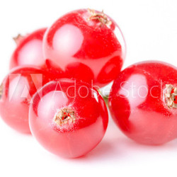 rote Johannisbeeren isoliert vor weiß