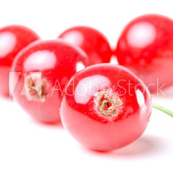 rote Johannisbeeren isoliert vor weiß