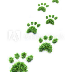 Grass pet paws