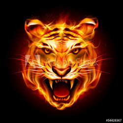 Head of a tiger in flame