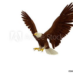 eagle extreme landing