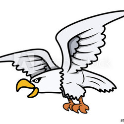 Eagle Cartoon - Vector Illustration