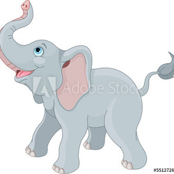 Cute elephant