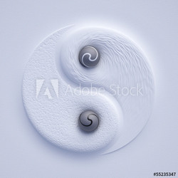 YinYang #27