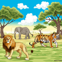 African animals in the nature