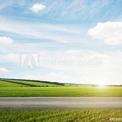 green meadow and road
