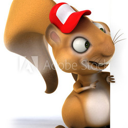 Fun squirrel