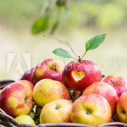love apples