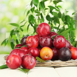 Ripe plums in basket on wooden table on natural background