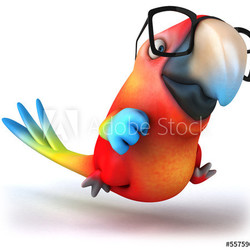 Parrot
