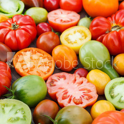 colorful tomatoes