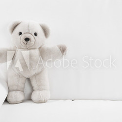 Teedybär als weißer Hintergrund