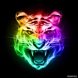 Head of tiger in colorful fire.