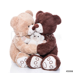 Teddybären - Familie mit Mutter, Vater und Kind