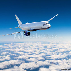 Airplane in the sky - Passenger Airliner / aircraft