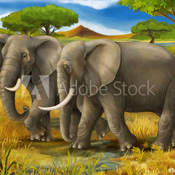 Safari - elephants - illustration for the children