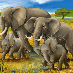 Safari - elephants - illustration for the children