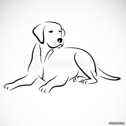 Vector image of an dog labrador