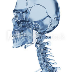 3d rendered illustration of a glass skeleton