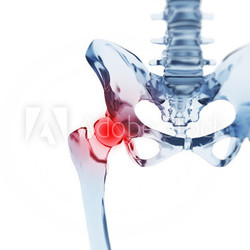 3d rendered illustration of a glass skeleton