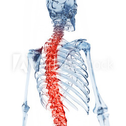 3d rendered illustration of a glass skeleton