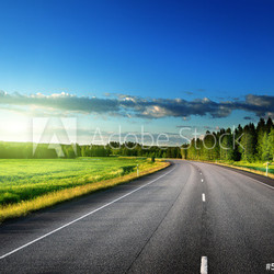 Asphalt road in forest