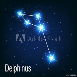 The constellation "Delphinus" star in the night sky. Vector illu
