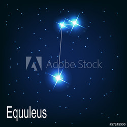 The constellation "Equuleus" star in the night sky. Vector illus