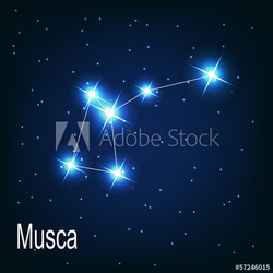 The constellation "Musca" star in the night sky. Vector illustra