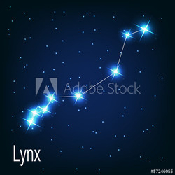 The constellation "Lynx" star in the night sky. Vector illustrat